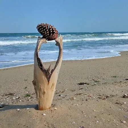 Aivazovsky Park Anchialos H14 Pomorie