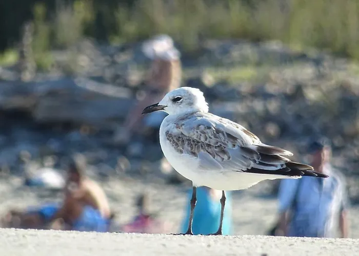 Aivazovsky Park Anchialos H14 Διαμέρισμα