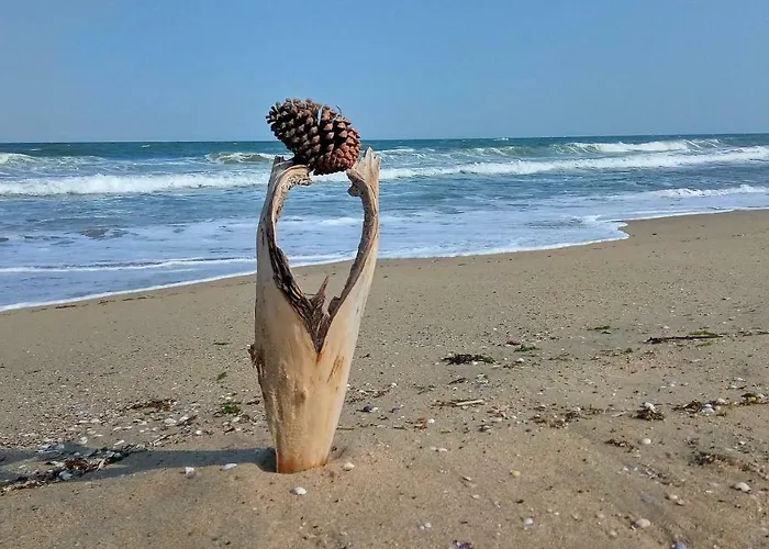 Aivazovsky Park Anchialos H14 Πομόριε